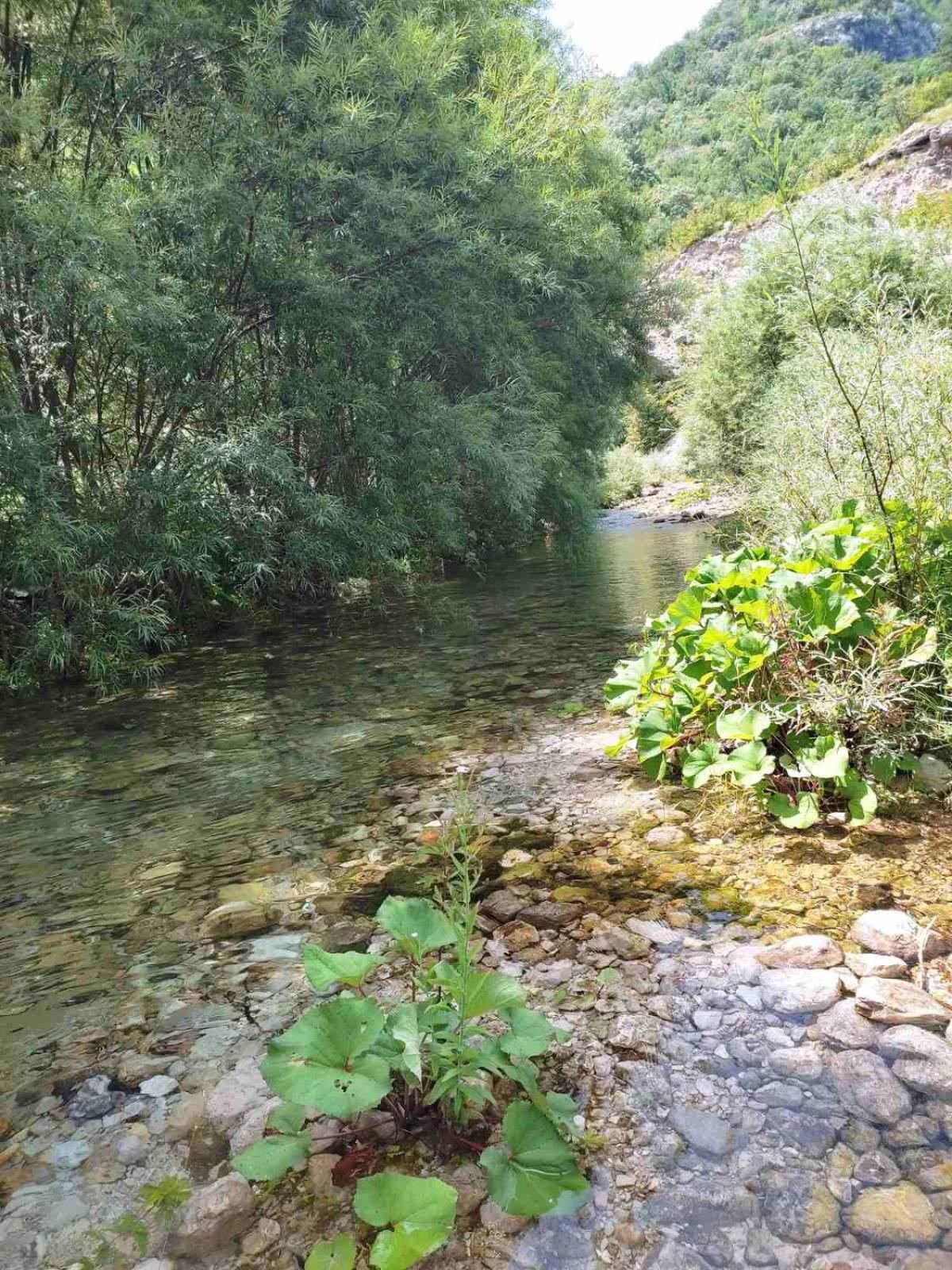 Kuca Za Odmor Diva Vila Mostar Exterior foto